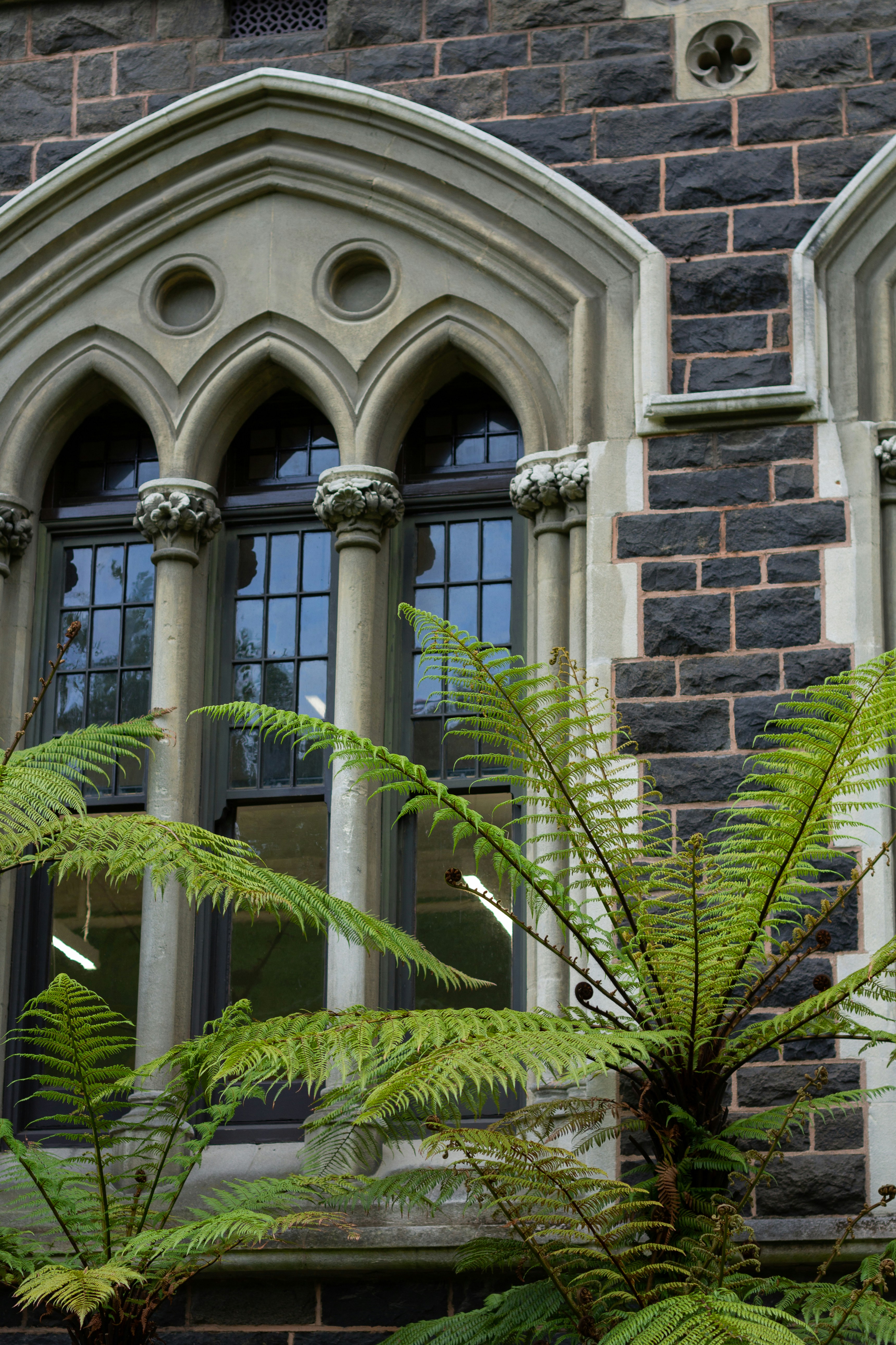 New Zealand secondary image 2